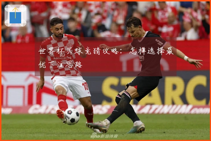 世界杯买球竞猜攻略：怎样选择最优下注思路
