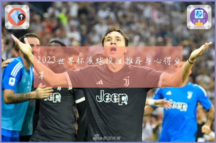 2023世界杯滚球投注推荐与心得分享