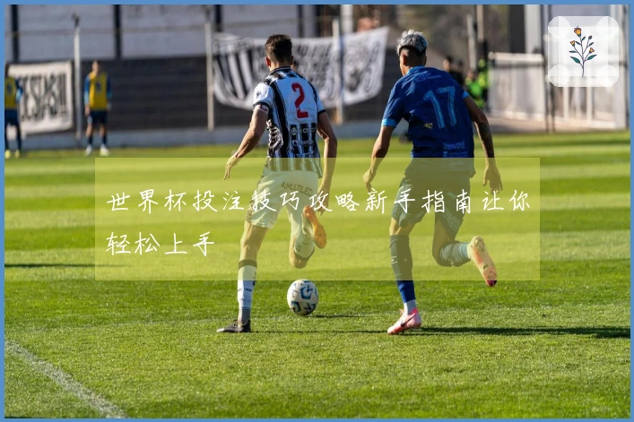 世界杯投注技巧攻略新手指南让你轻松上手
