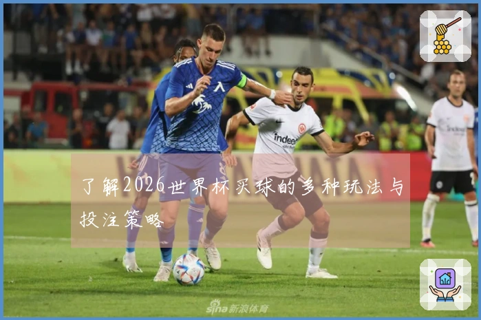 了解2026世界杯买球的多种玩法与投注策略